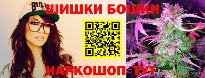 индика Новозыбков